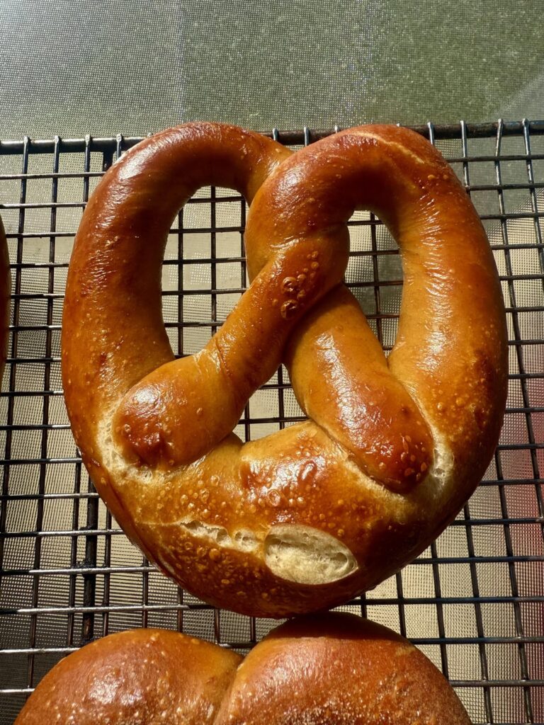Sourdough Pretzels Lye Dip Time Poll: Number 1 or Number 2?