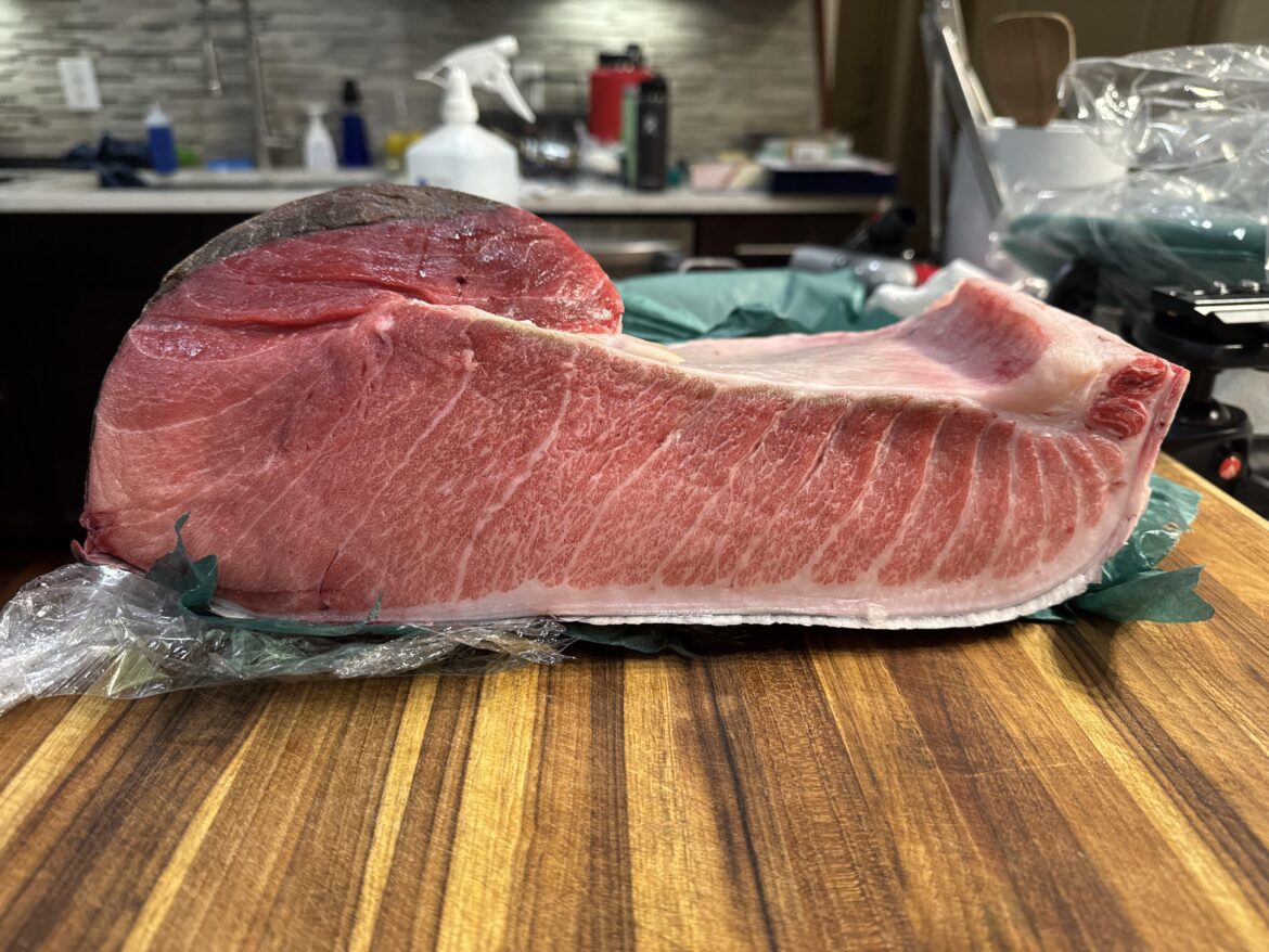 A smaller piece of harakami bluefin otoro before cleaning up