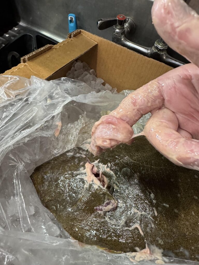 Quality Control - Sushi Cafe