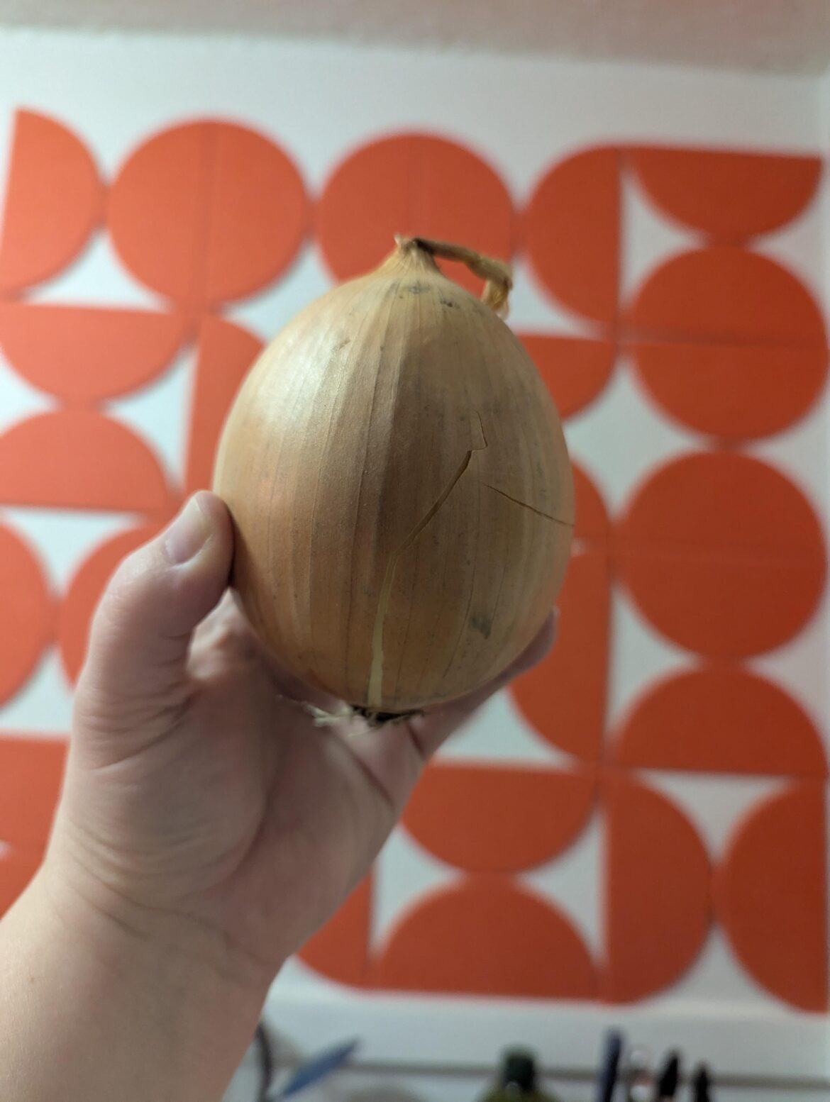 The onion lottery smiled upon me