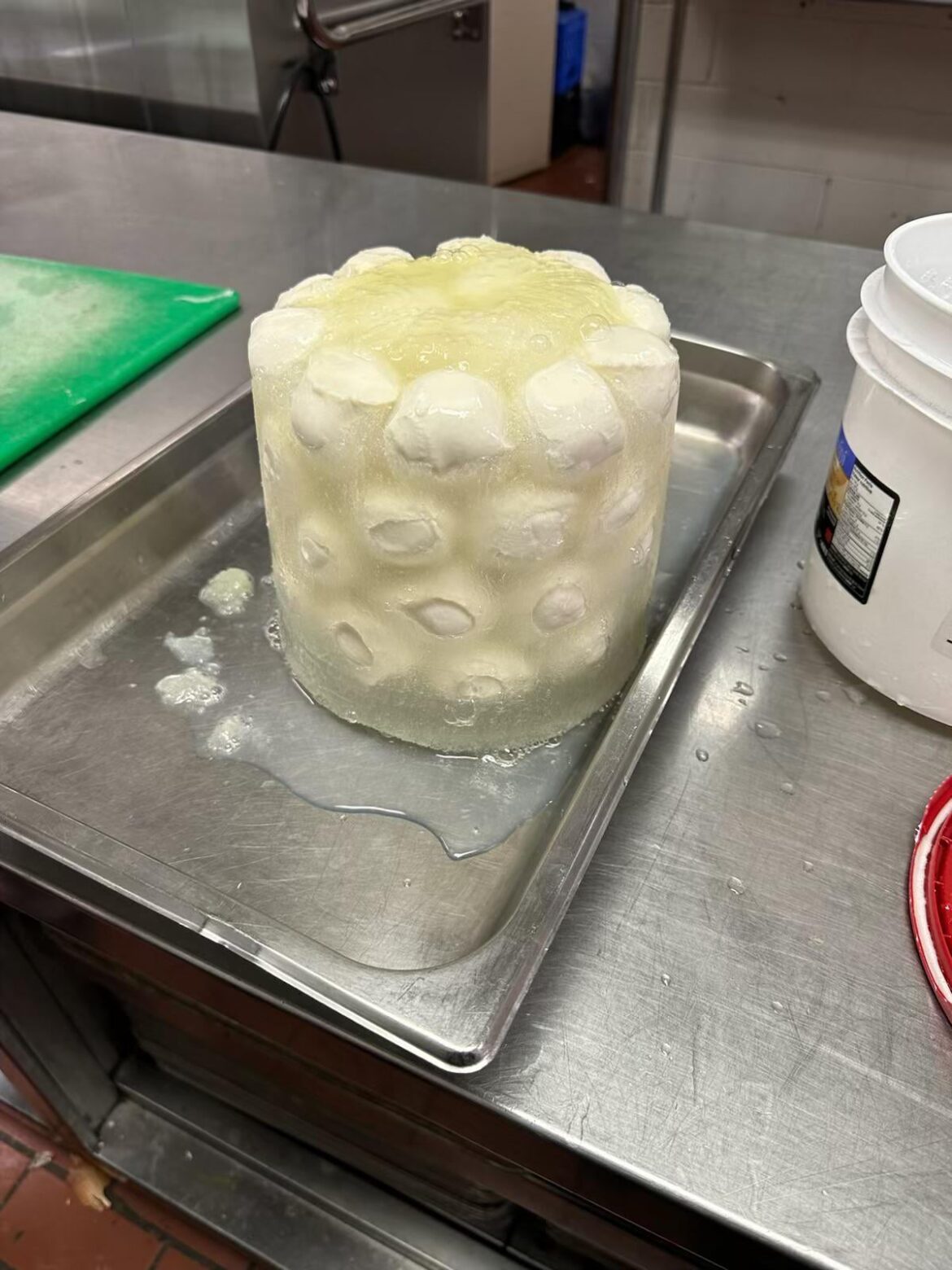 Ok who put the bocconcini in freezer