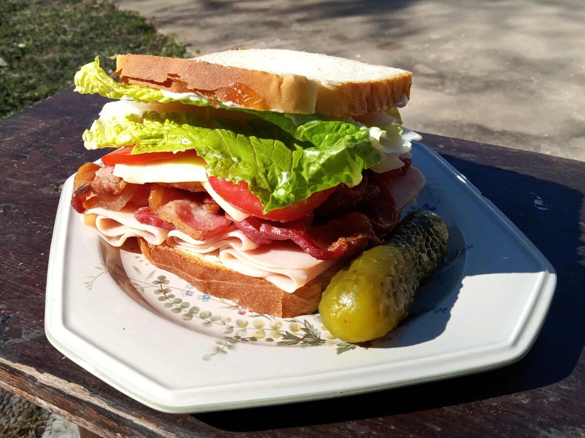 Rolled over to fall back asleep, then had an Epiphany - A glorious Turkey, Bacon, and Swiss sandwich was summoning me for a VERY important purpose...