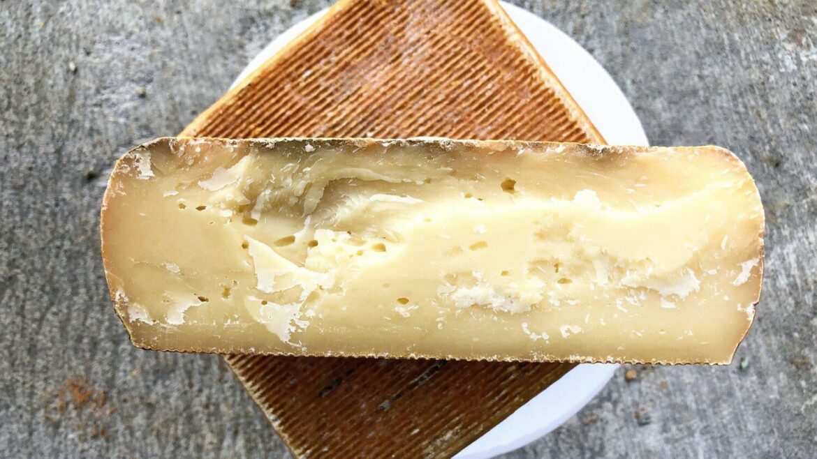 Day 1592 of posting images of cheese until I run out of cheese types: Nimble