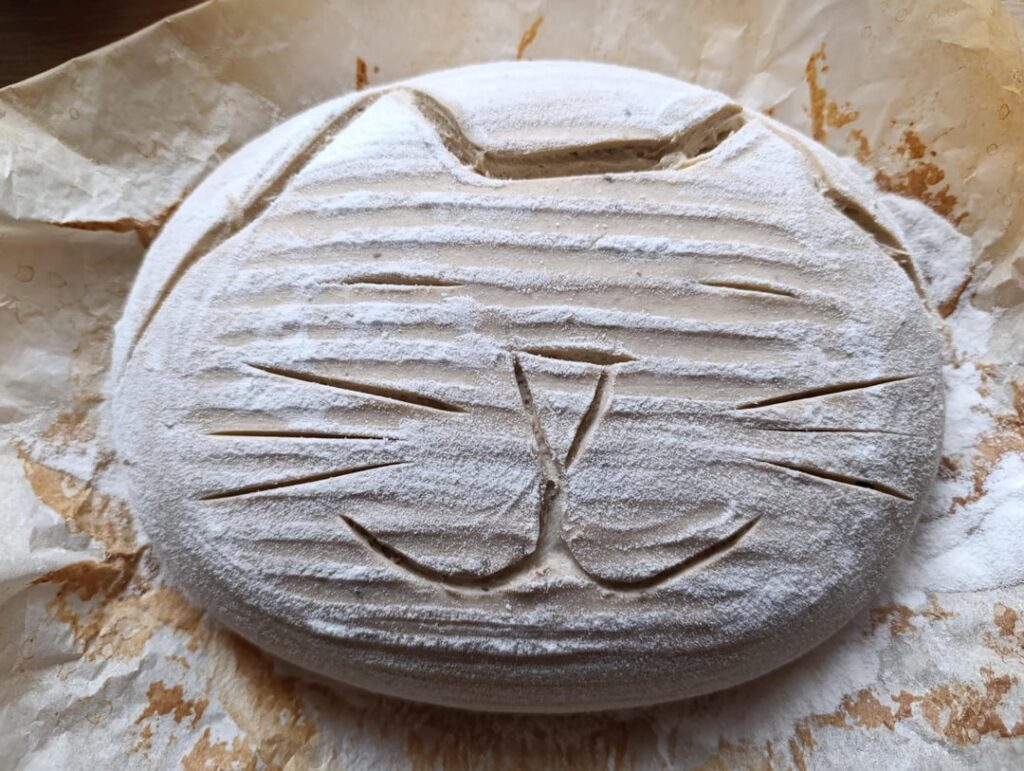 One day I will get a kitty