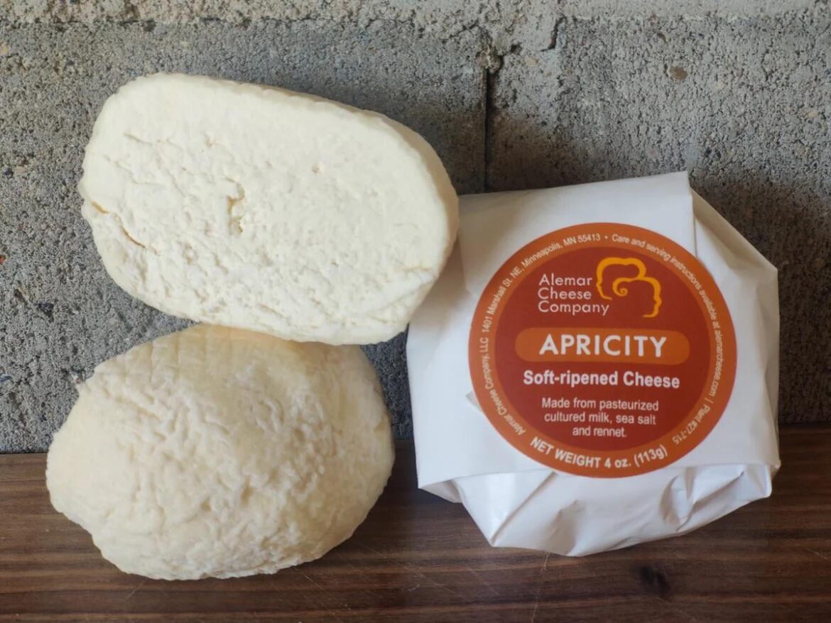 Day 1551 of posting images of cheese until I run out of cheese types: Apricity