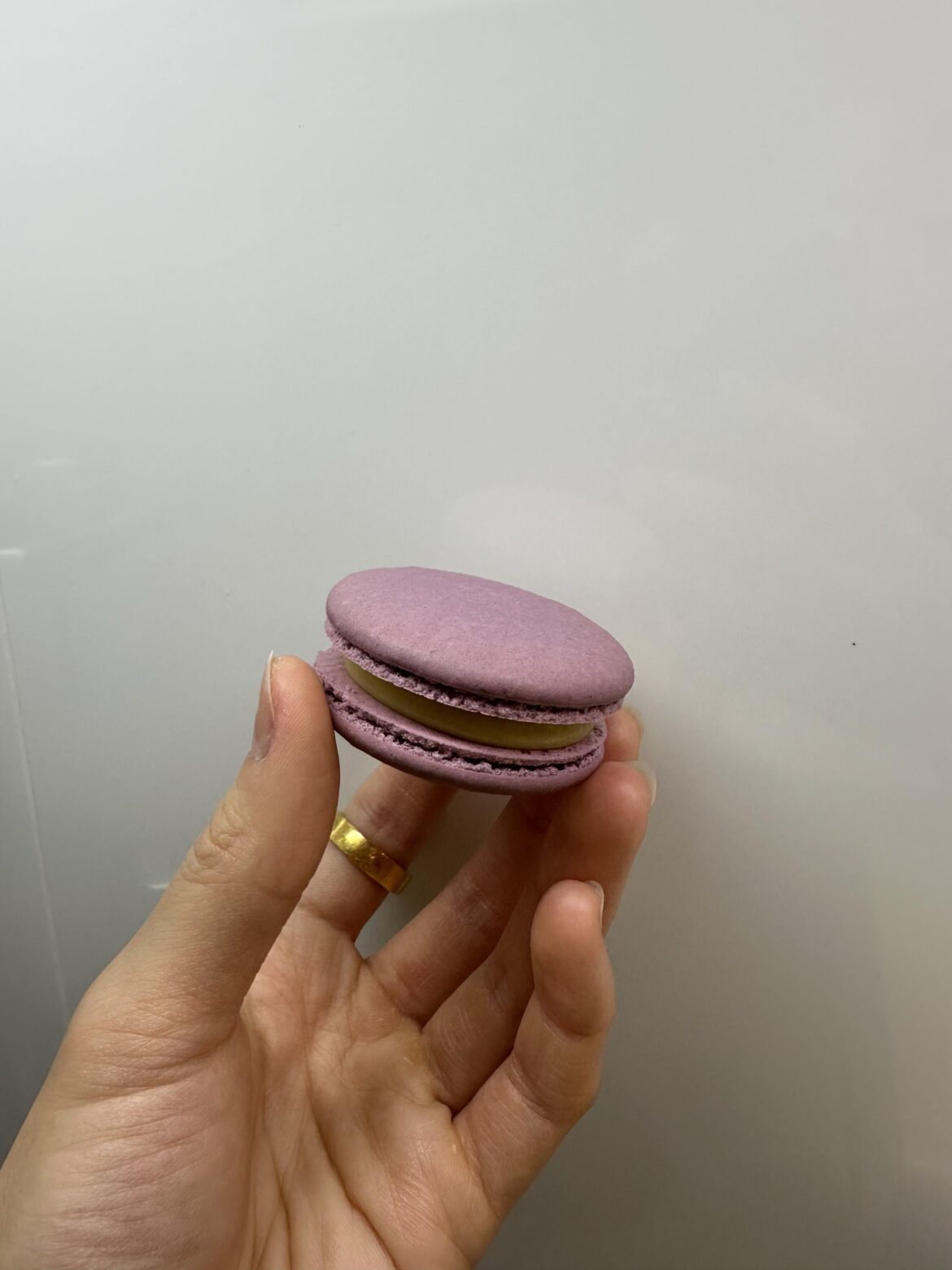 passionfruit macarons