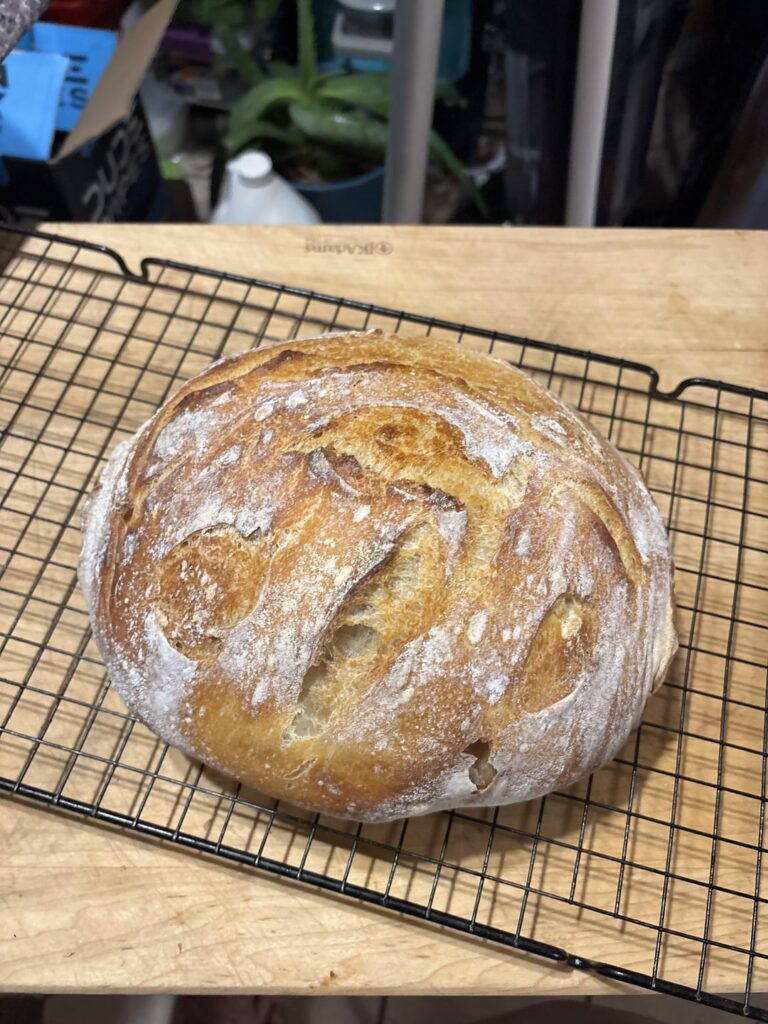 My first sourdough loaf