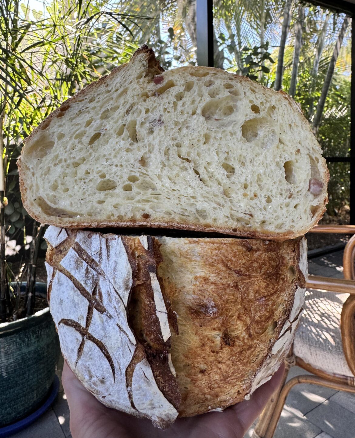 Maybe my best loaf ever. Sourdough enriched with egg yolks and semolina flour - folded in pecorino, parmesan and crispy pancetta.