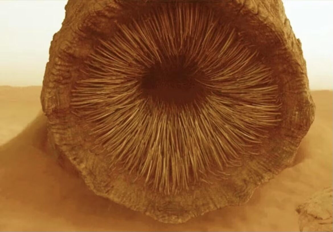 Advice needed on tip and technique