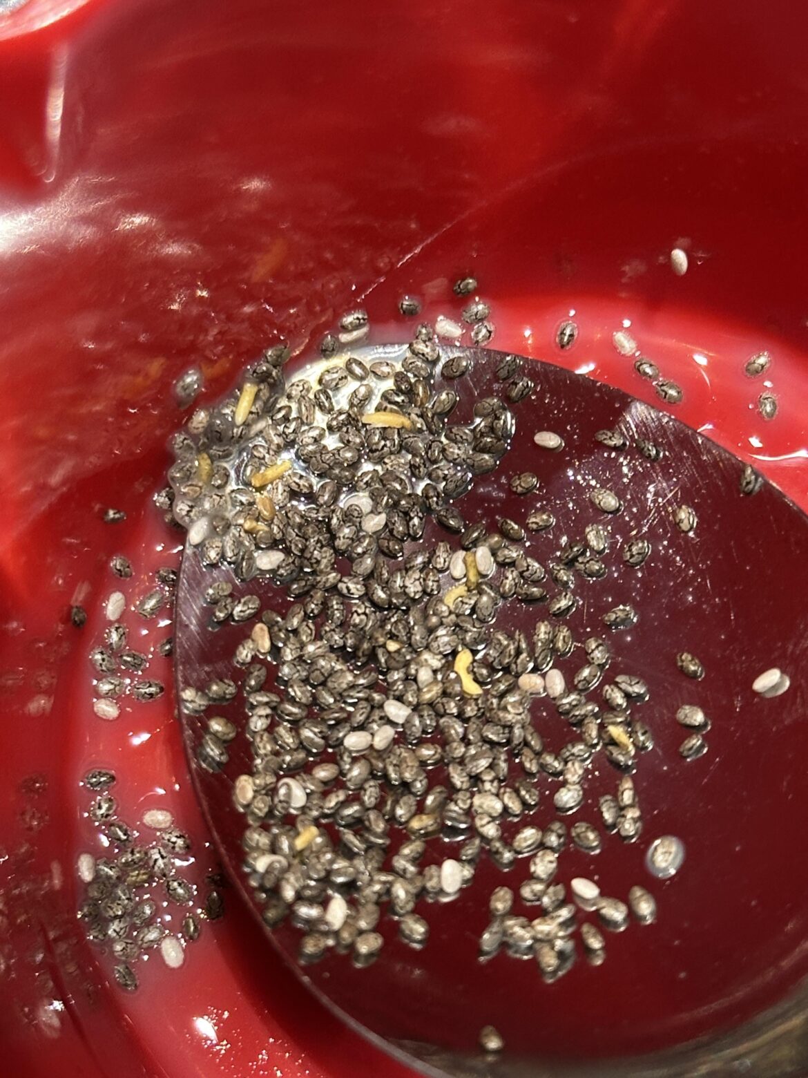 I don’t know if these Chia Seeds are normal…