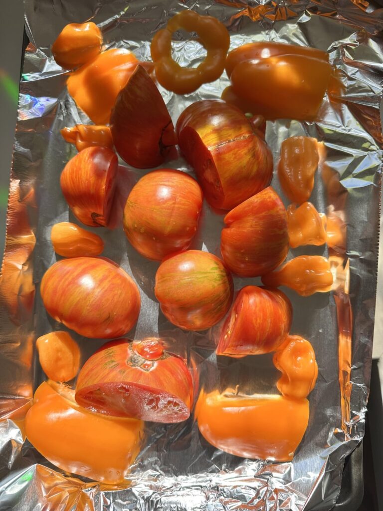 Habanero and heirlooms