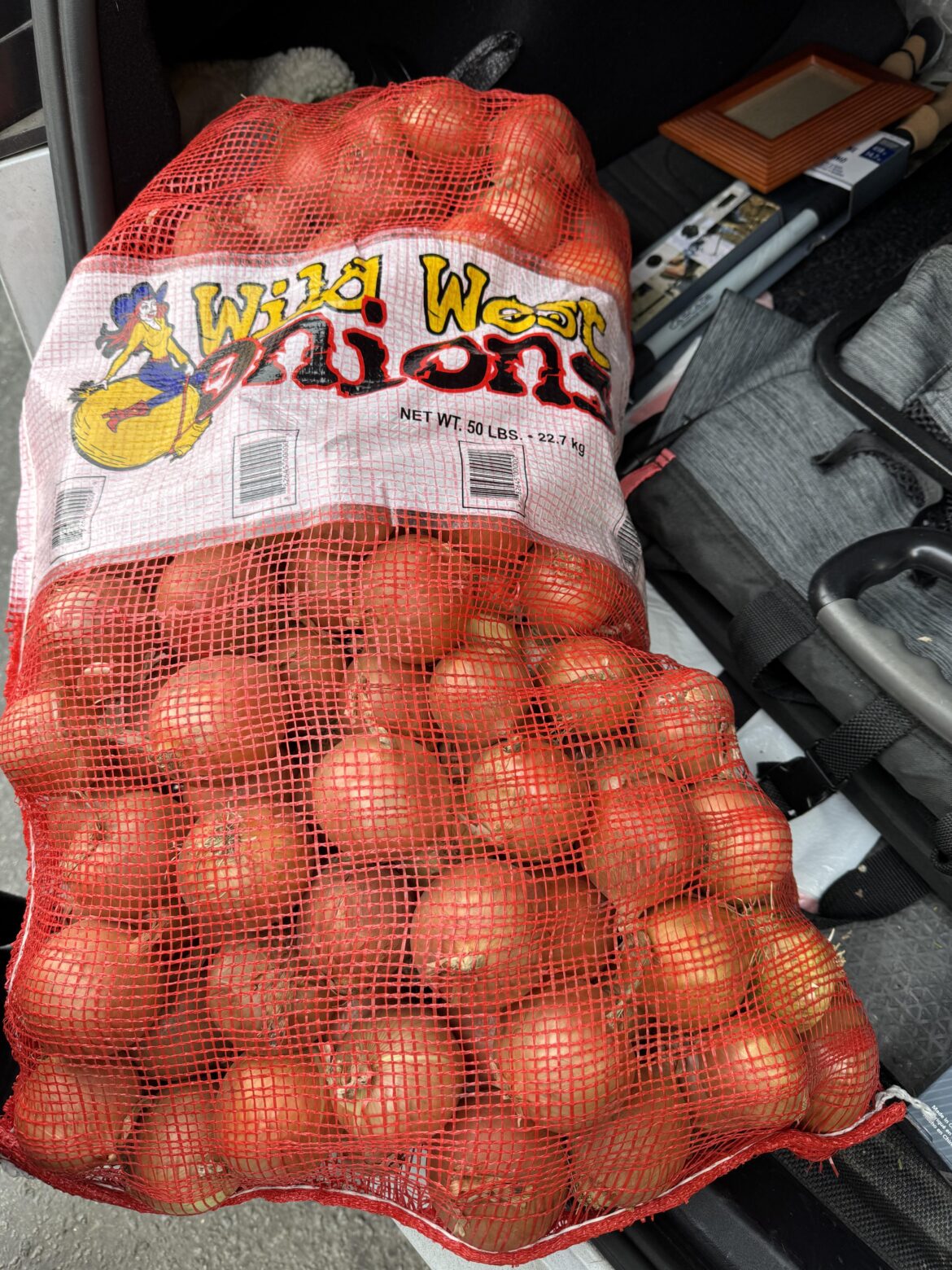 I requested French Onion Soup so my husband brought me 50lbs of onions 😍