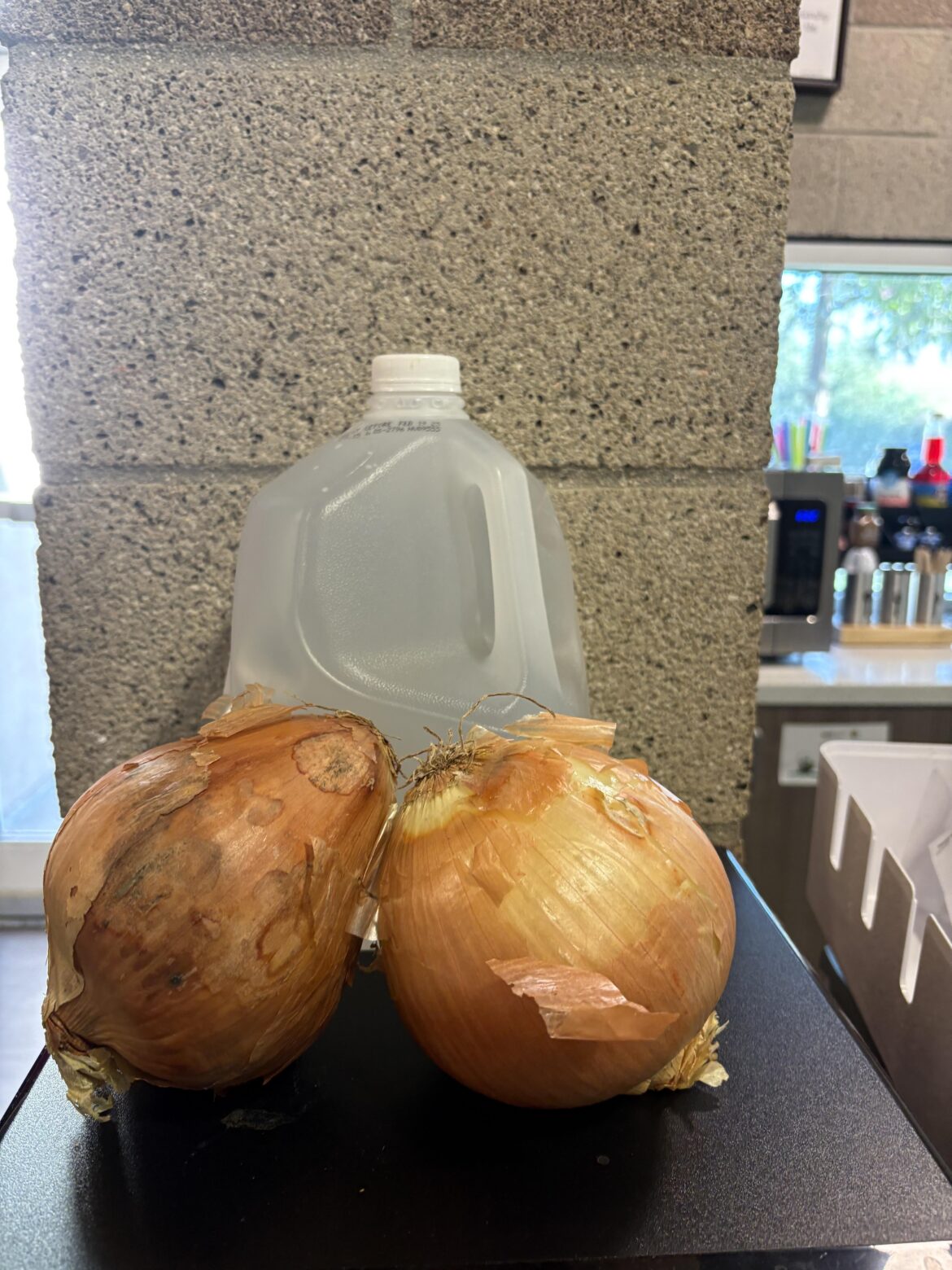 massive onions