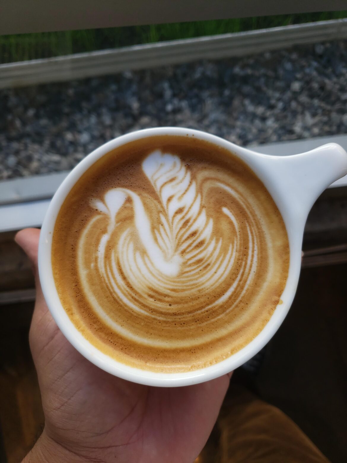 First swan of the year.