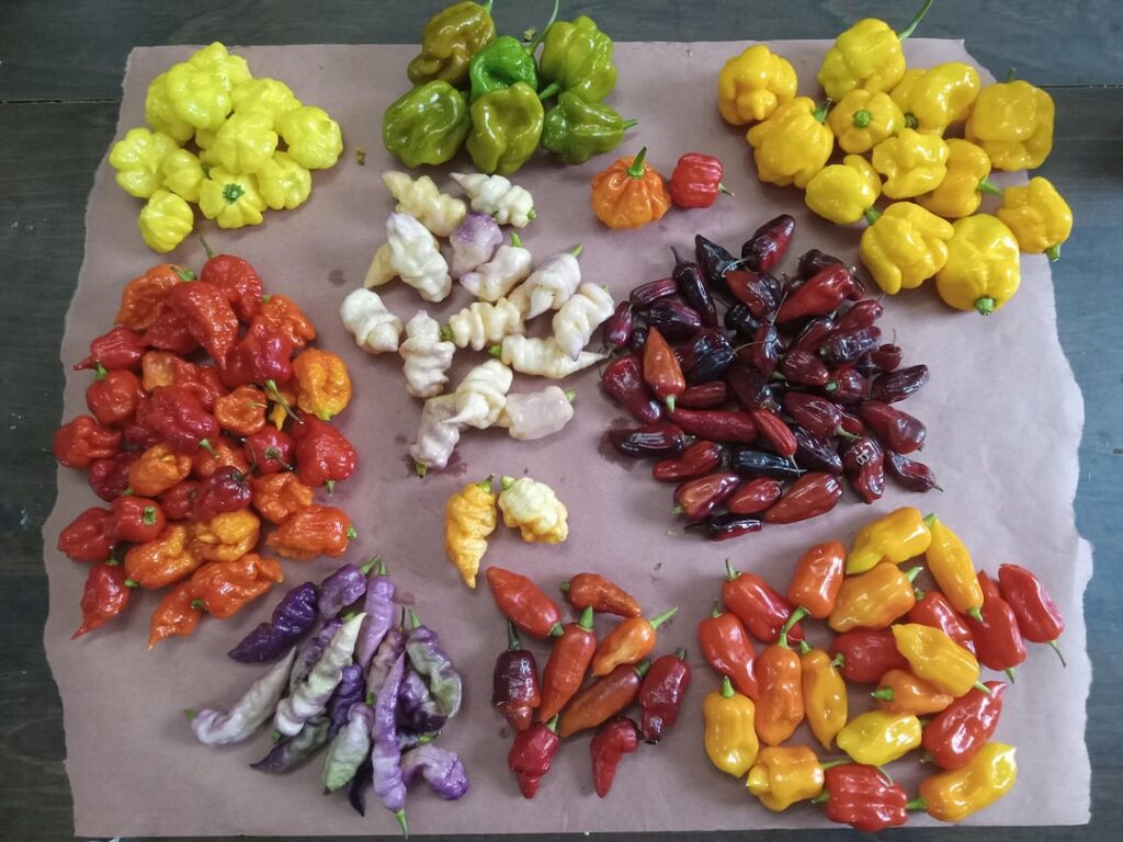 Warmer days are ahead....right?