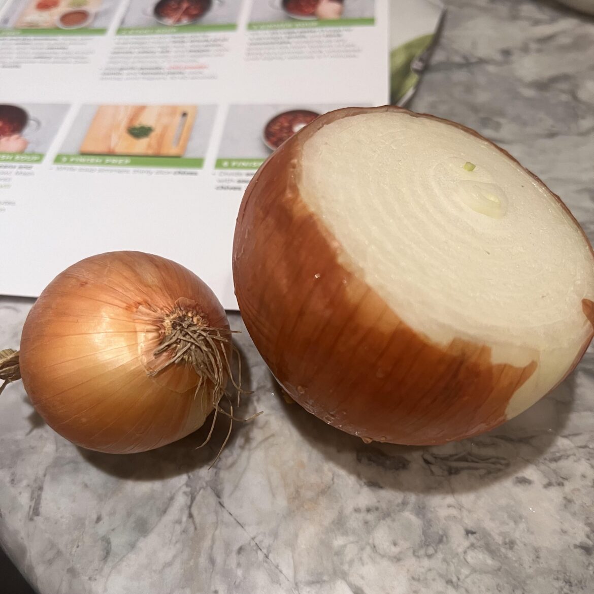 World’s tiniest onion