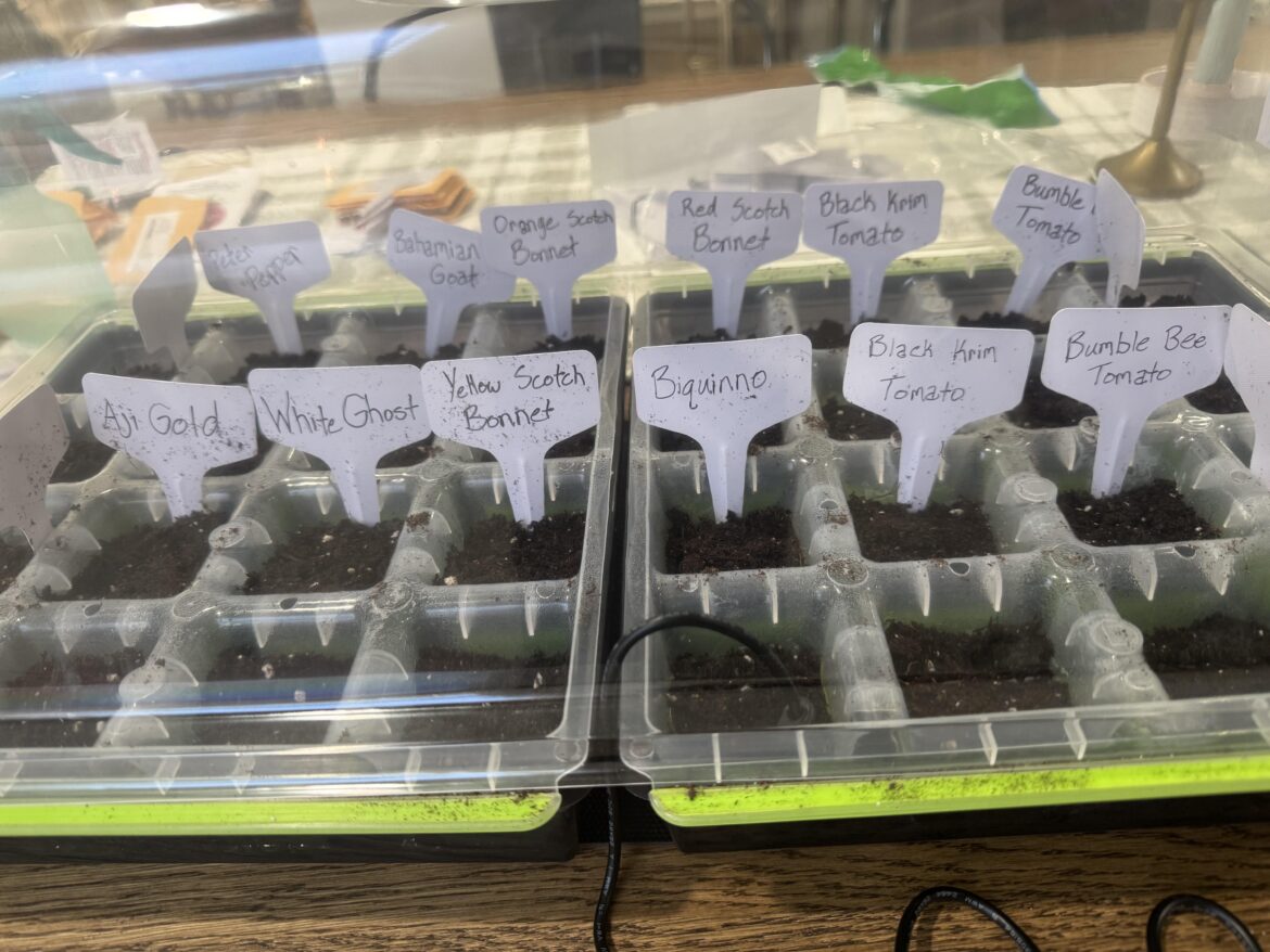 And so it begins And so it begins