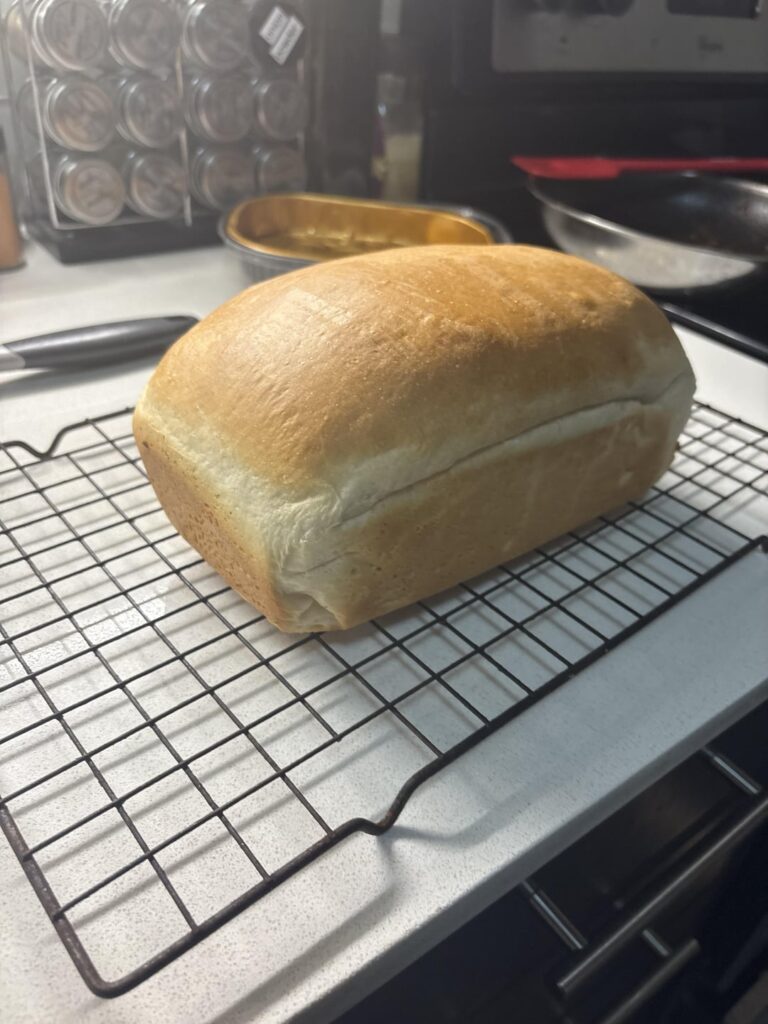 Finally getting the hang of sandwich bread