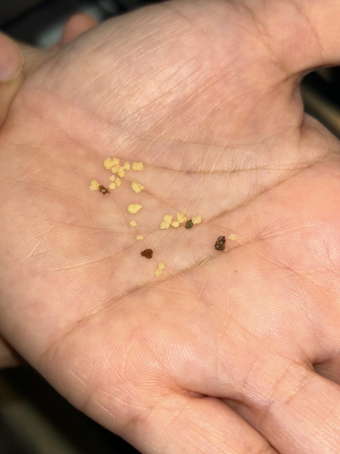 Black stuff in couscous?