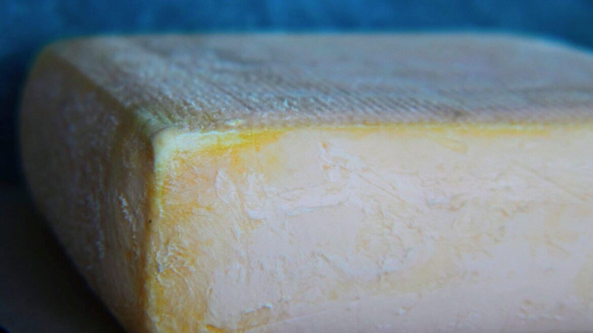 Day 1591 of posting images of cheese until I run out of cheese types: Lissome