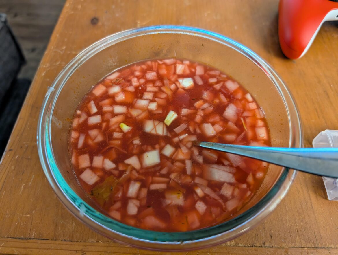 I made a thin veggie borscht but when push came to shove.....just had to add tons of raw diced onion 🤷