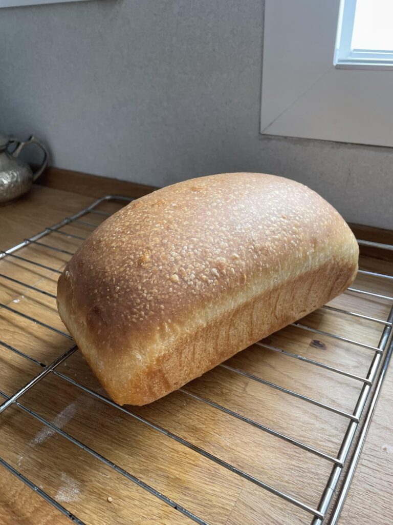 Thoughts of this sandwich bread?
