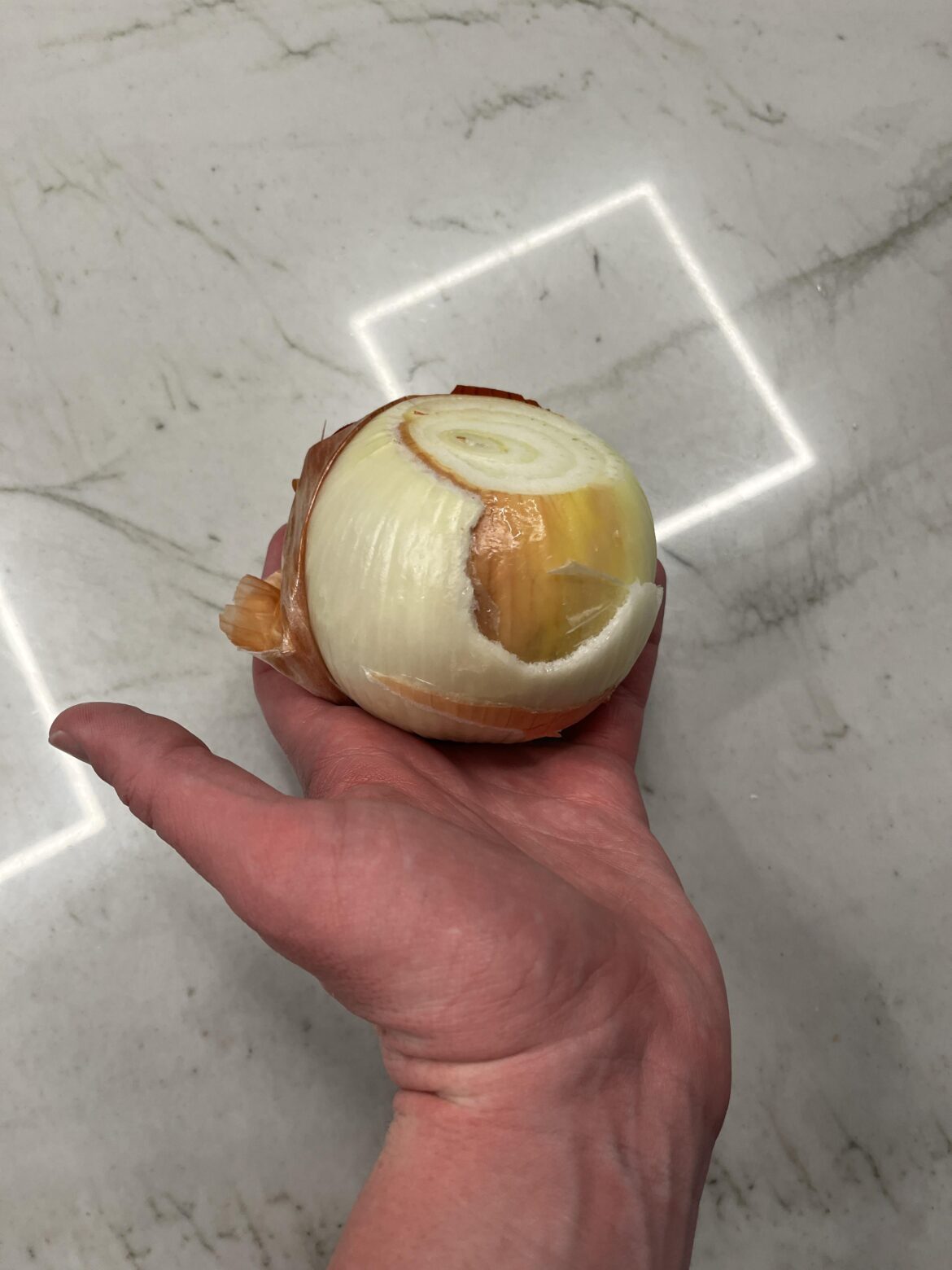 That onion came back for round two