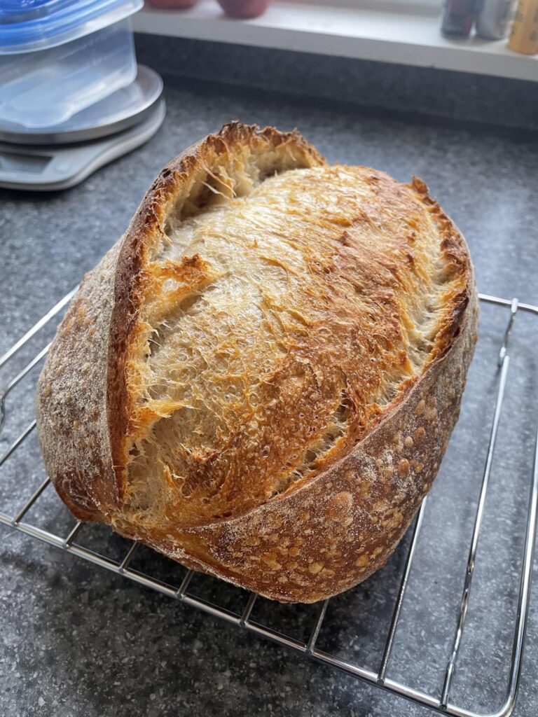 Second loaf with my new starter (Frank)