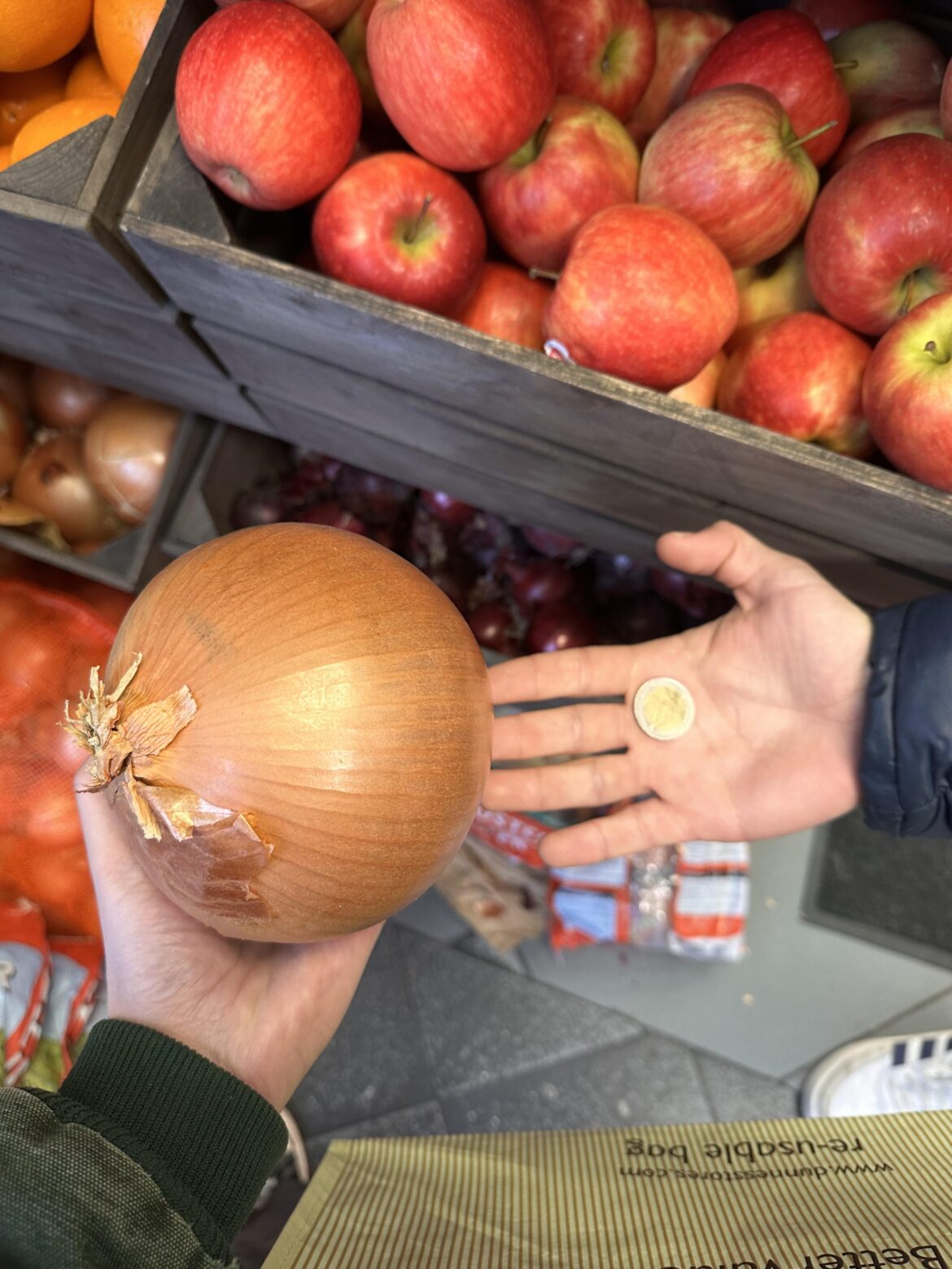 Very large onion