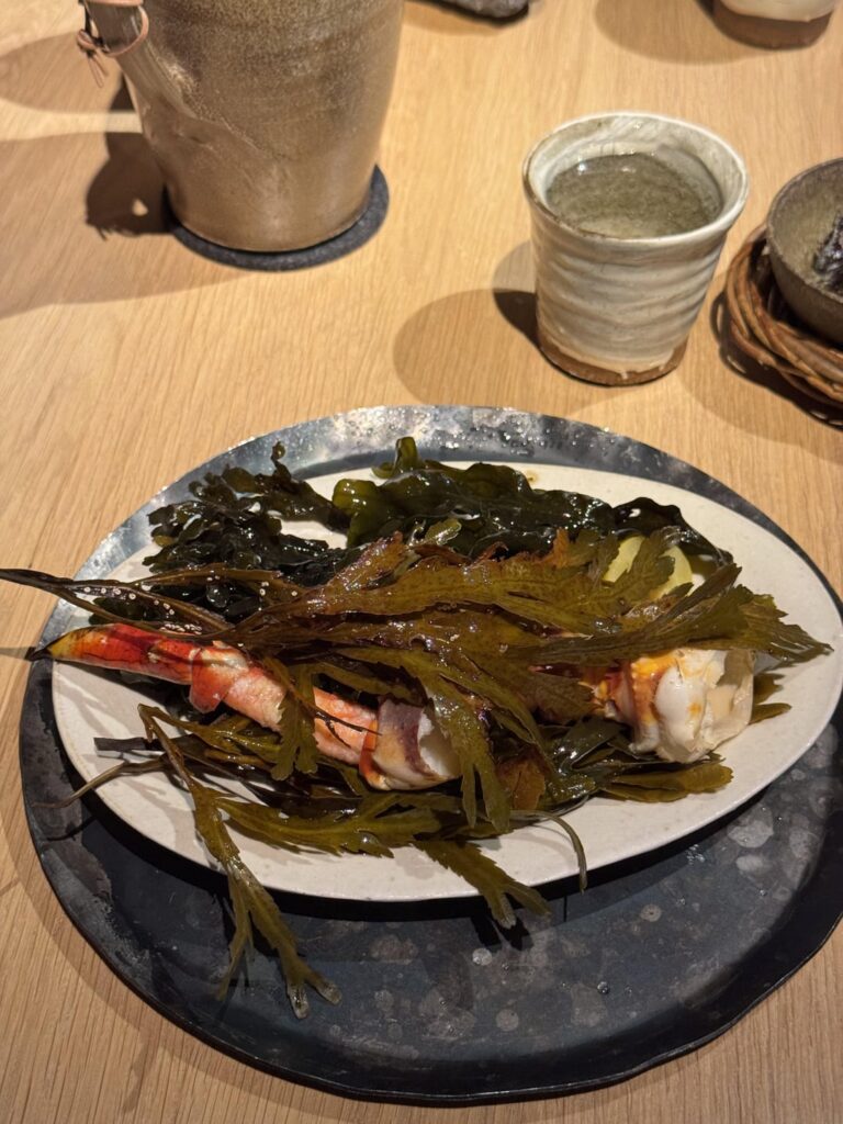 Noma Ocean Season 2025 Noma Ocean Season 2025