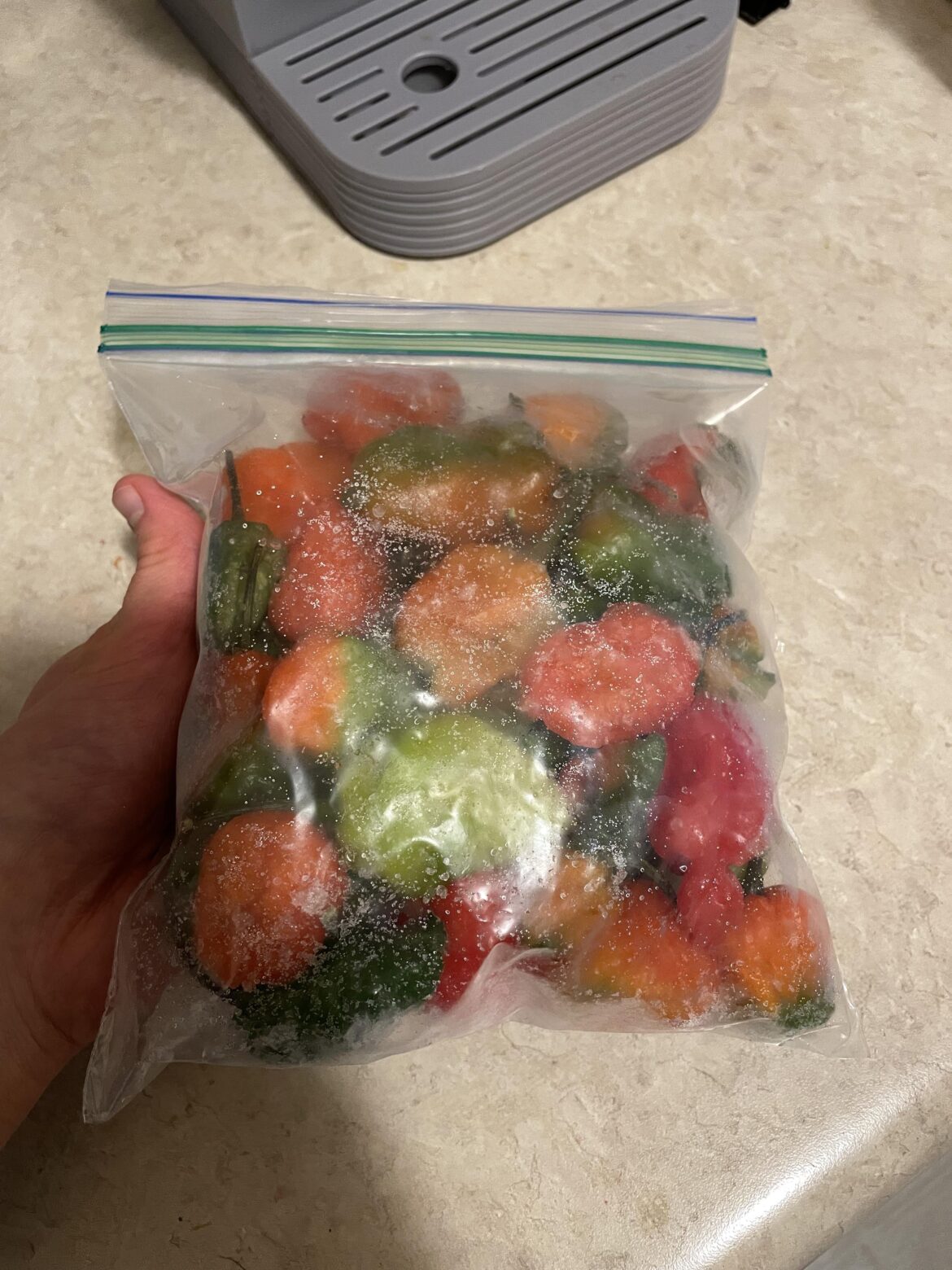 A bag of Scotch Bonnets I keep in my freezer that I bought at a West African store