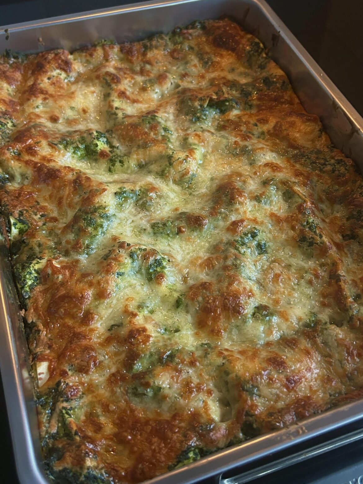 Salmon Alternative Spinach Lasagna