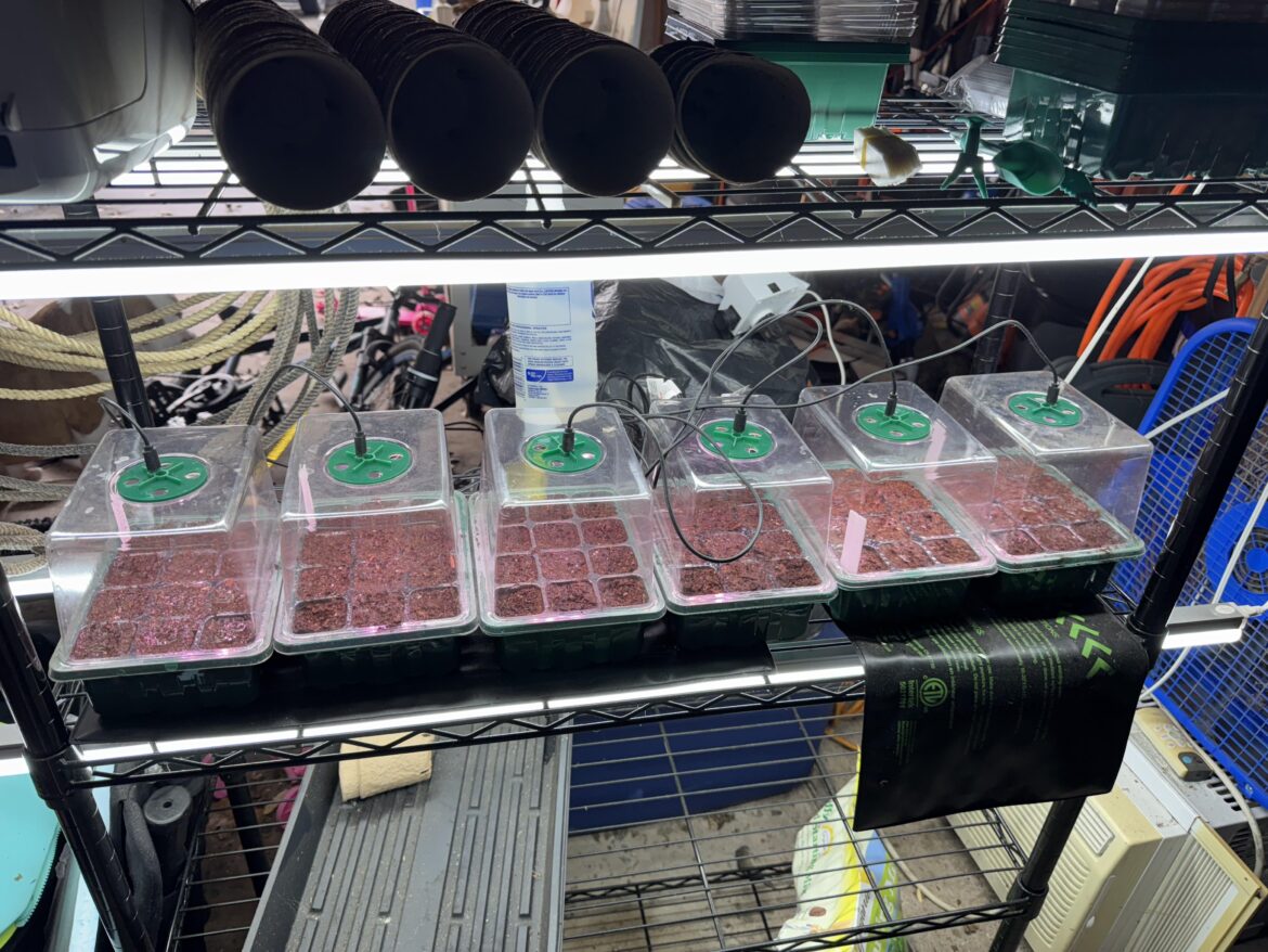 Got mine in their new temporary home