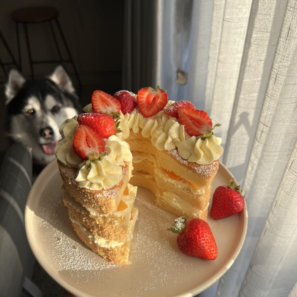 I made strawberry chiffon cake, with fresh cream 🍓 SO GOOD!!!