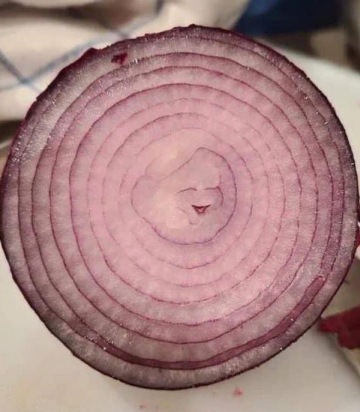 Happy little onion