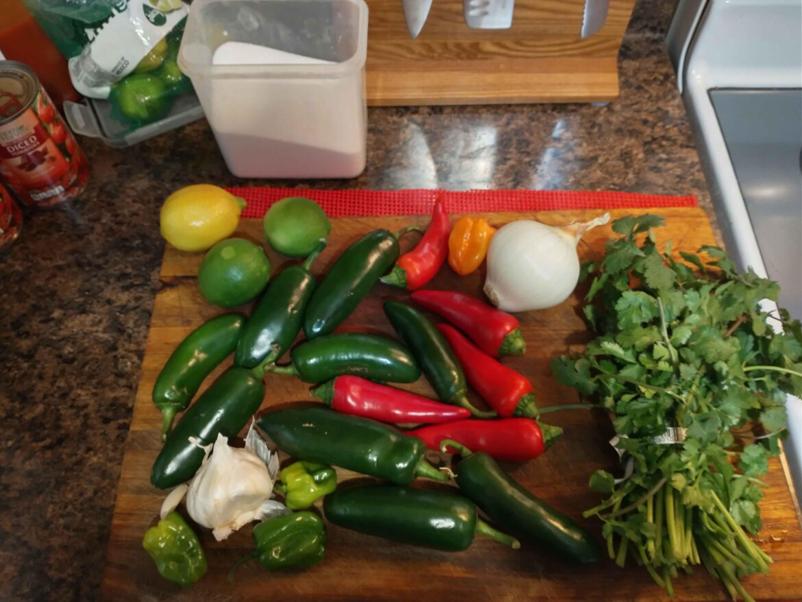 Going to roast all of this for one single salsa.  How shall I balance them?