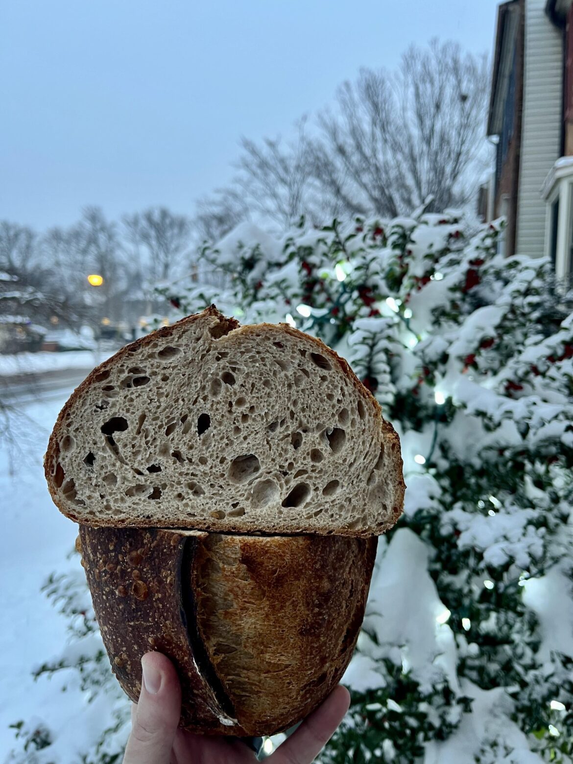 First sourdough of 2025, perfect treat for the 8” of snow we just got
