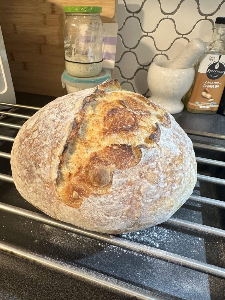 First loaf ever – very happy with the results, any critiques? First loaf ever - very happy with the results, any critiques?