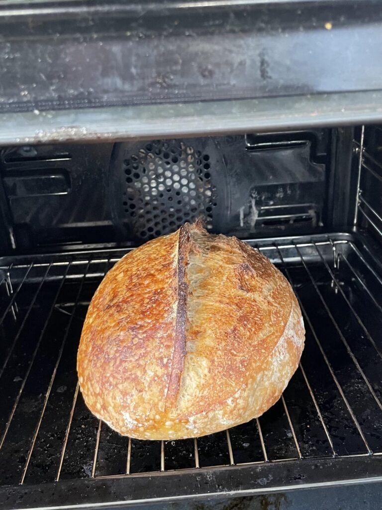 First bread in over 3years