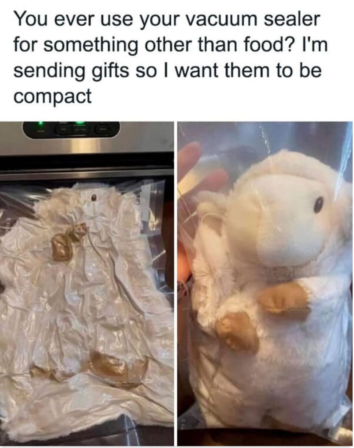 Vacuum Sealer non food use?