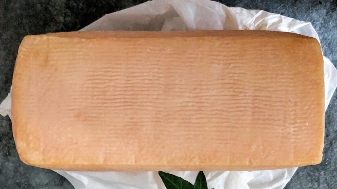 Day 1594 of posting images of cheese until I run out of cheese types: Campo