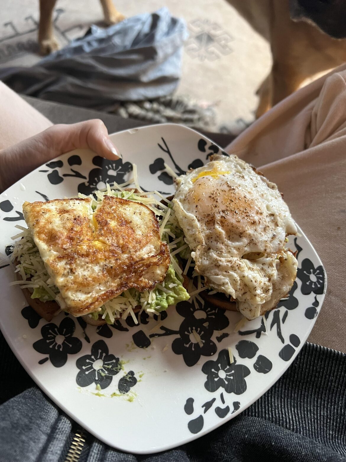 My friend and his mom told me that my breakfast looks “Like vomit and looks disgusting”. Does my avocado toast with fried egg really look that bad?