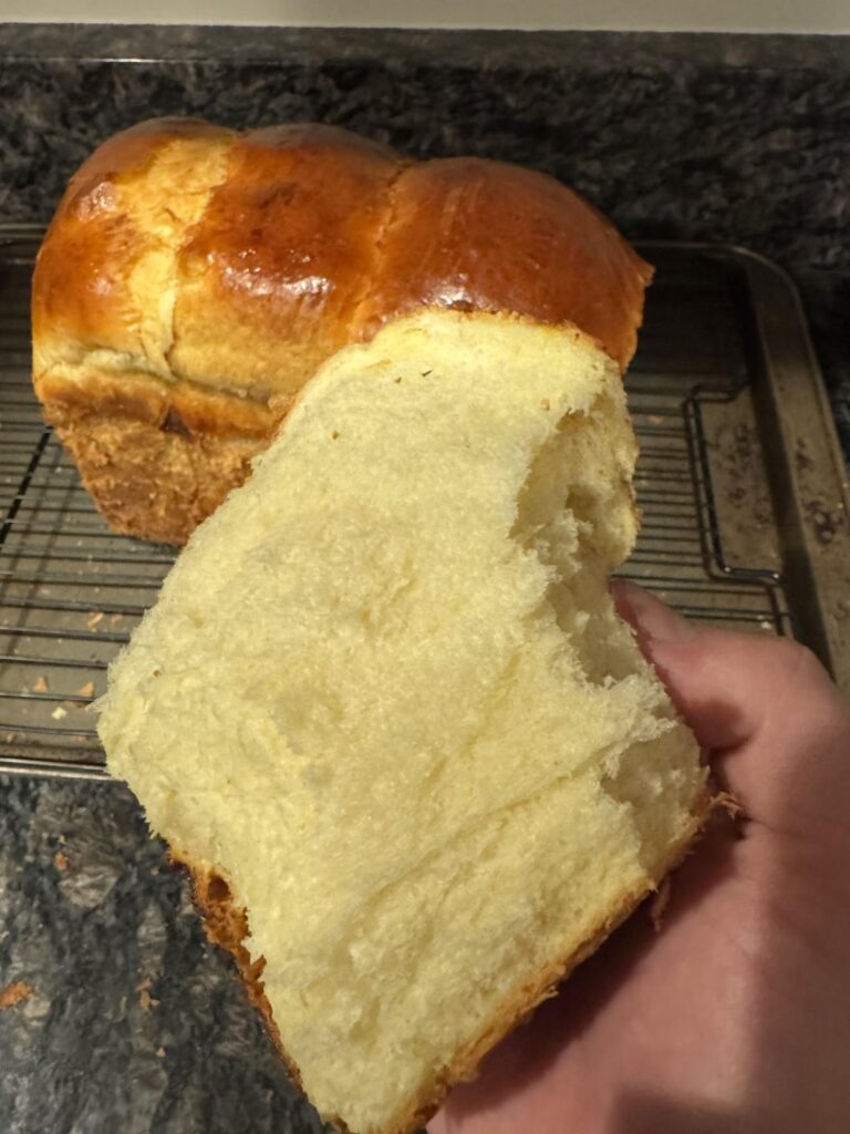 First 2 weeks of baking, what do ya think?