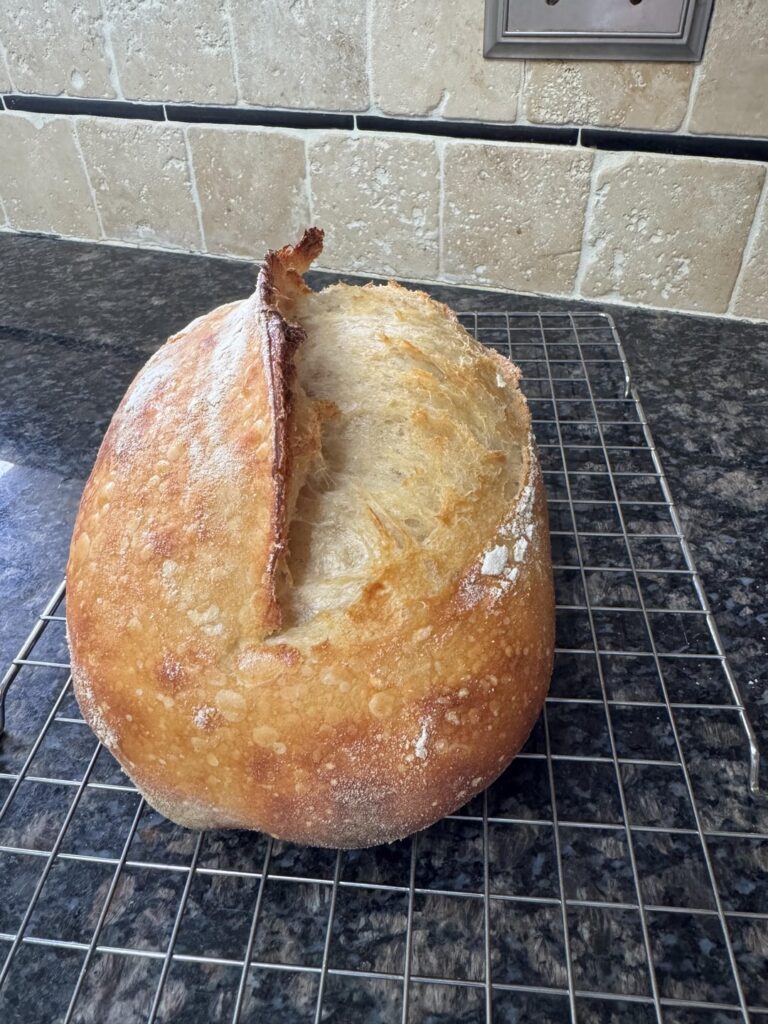 Why does my sourdough bread have a dorsal fin? Why does my sourdough bread have a dorsal fin?