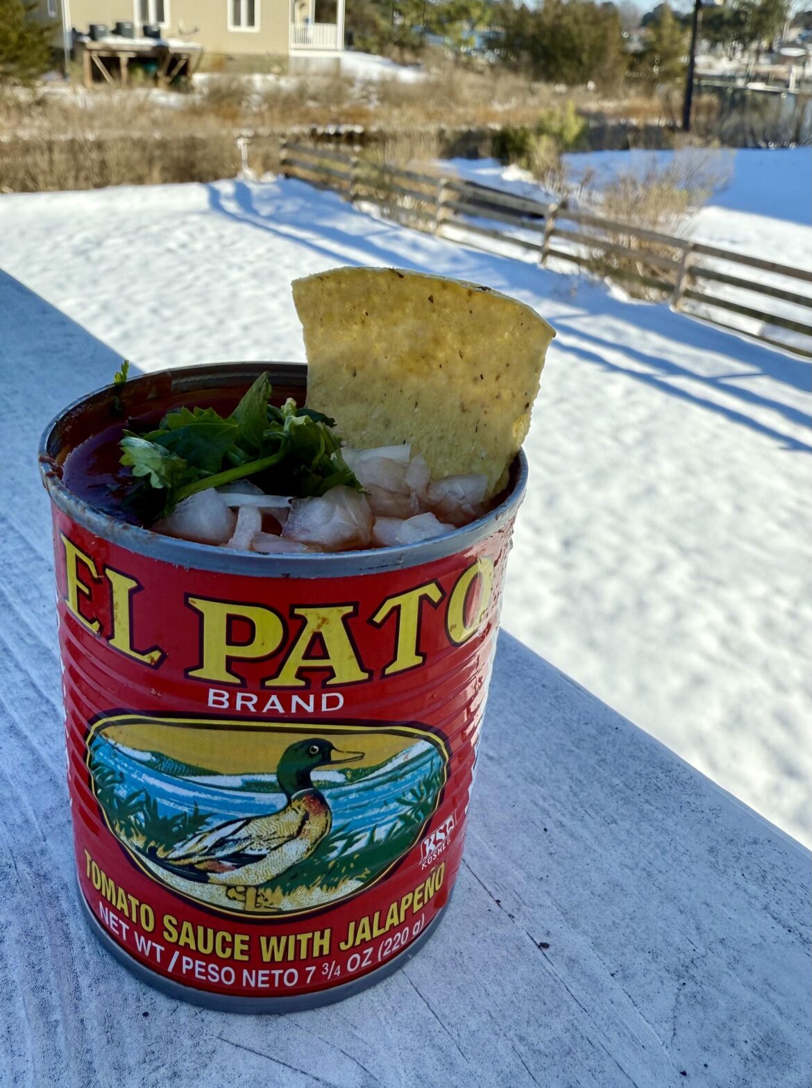 Hiked through the snow to get these ingredients