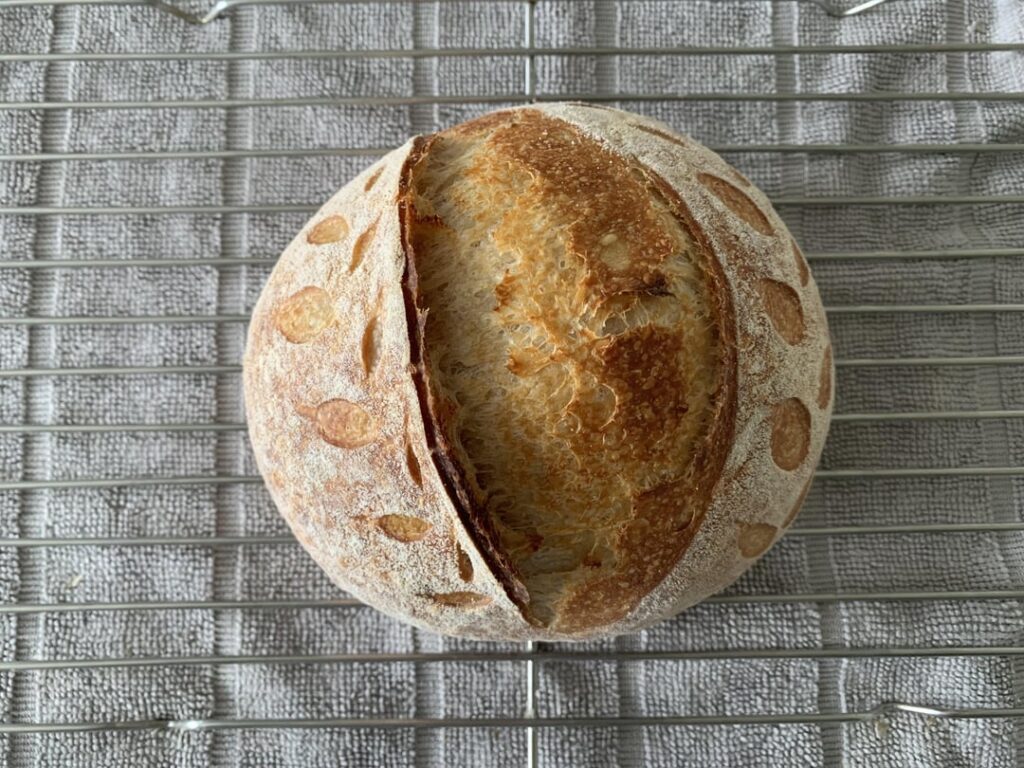 Why can’t I proof properly?!