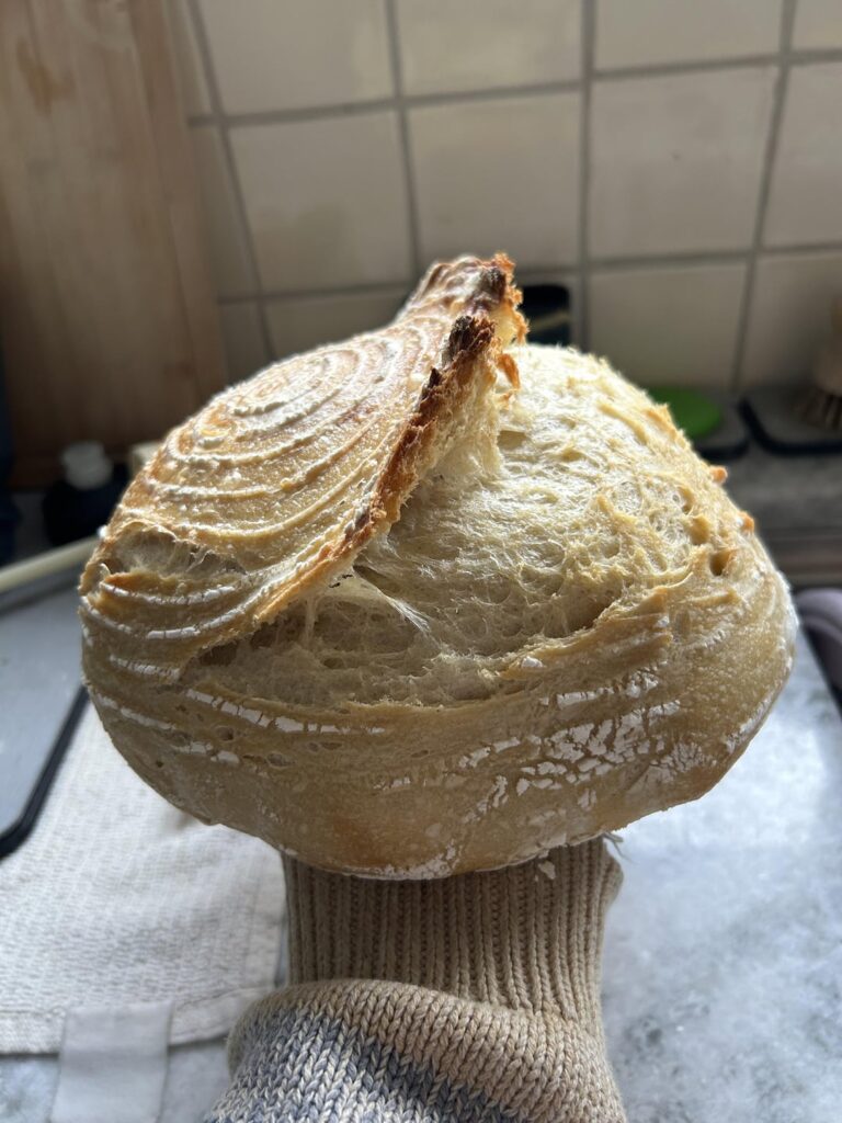 Taking this loaf to Claire’s to get her ear pierced!