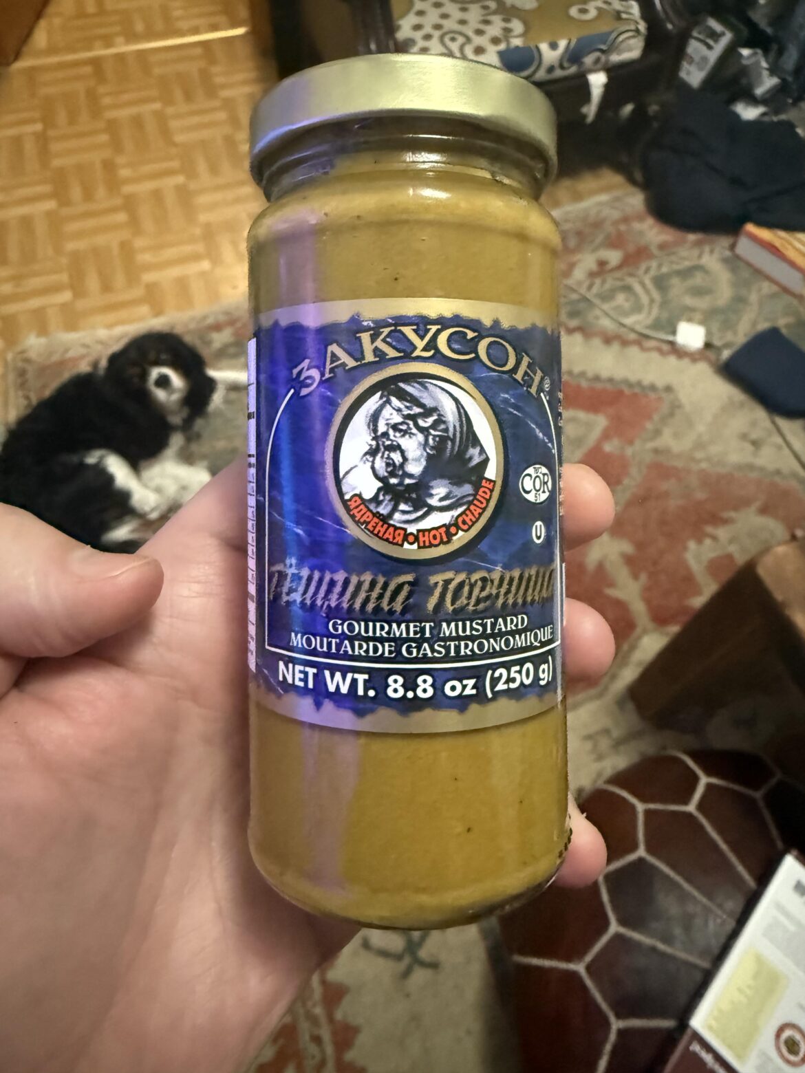 The hottest mustard I've ever found - sends shooting needles into the back of my brain temporarily paralyzing my skull.  Makes my sandwiches bombwiches, I'm very happy I found this.  (I posted this to /htosauce and   of course it's not a hot sauce- but need to spread the gospel somewhere!)