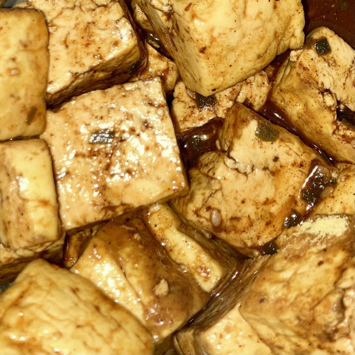 Sandwich Maker Tofu Awesomeness