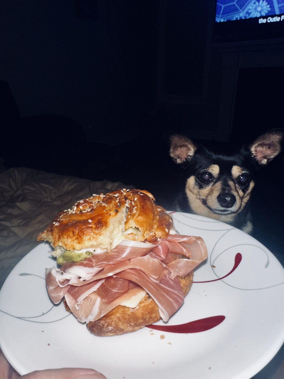 onion cheese pin wheel and prosciutto